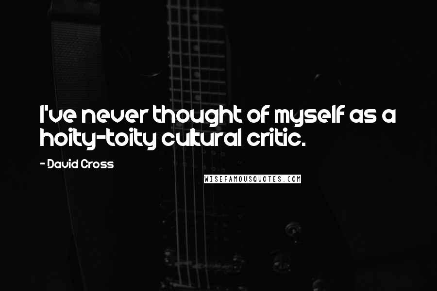 David Cross Quotes: I've never thought of myself as a hoity-toity cultural critic.