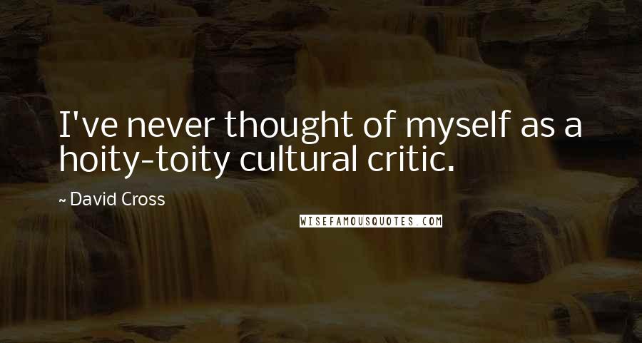 David Cross Quotes: I've never thought of myself as a hoity-toity cultural critic.