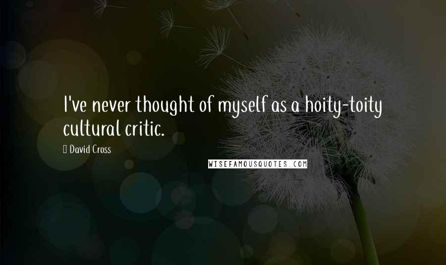David Cross Quotes: I've never thought of myself as a hoity-toity cultural critic.
