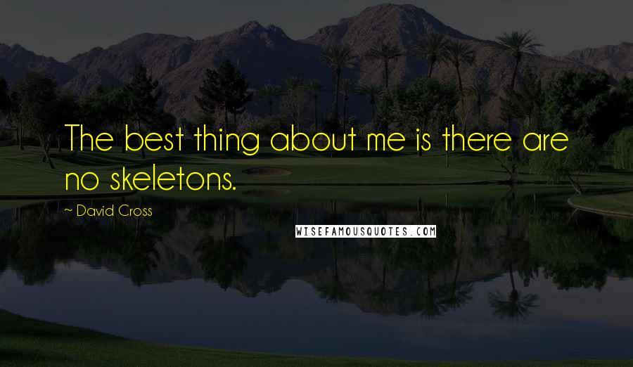 David Cross Quotes: The best thing about me is there are no skeletons.