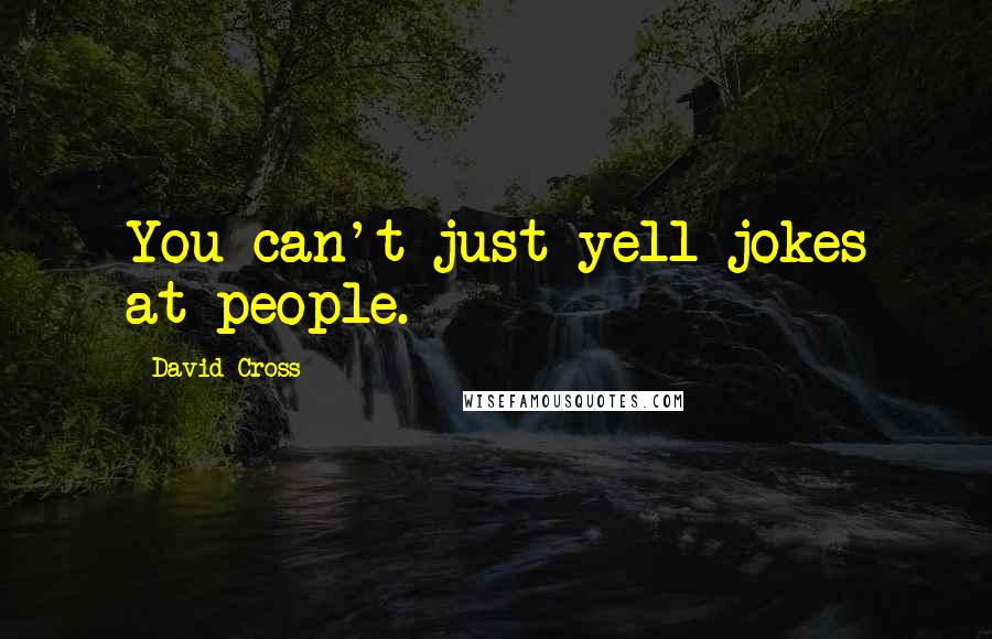 David Cross Quotes: You can't just yell jokes at people.