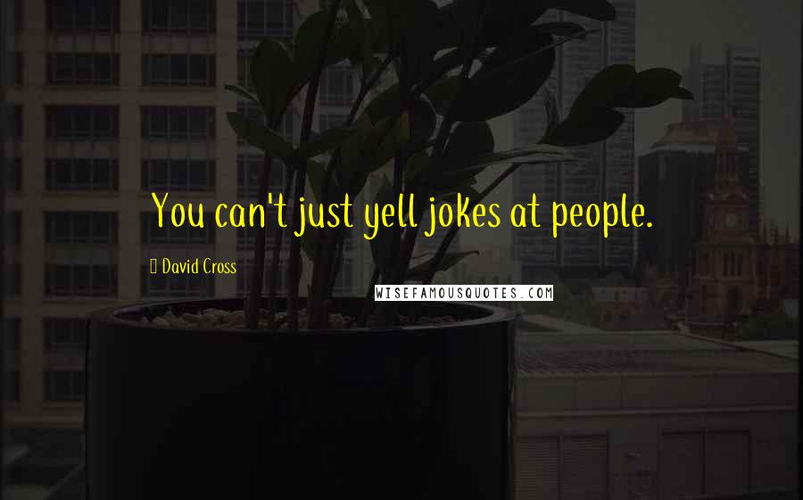 David Cross Quotes: You can't just yell jokes at people.