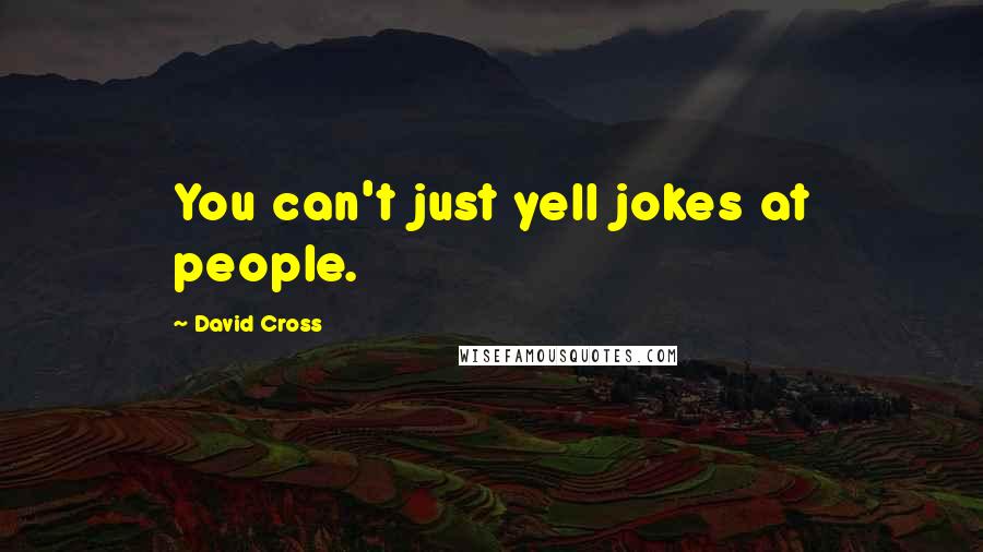 David Cross Quotes: You can't just yell jokes at people.