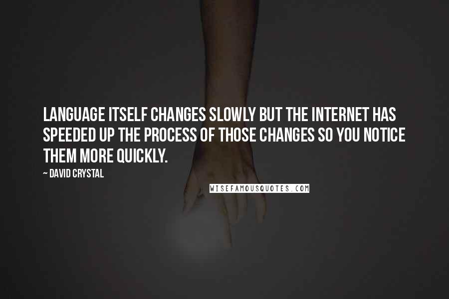 David Crystal Quotes: Language itself changes slowly but the internet has speeded up the process of those changes so you notice them more quickly.