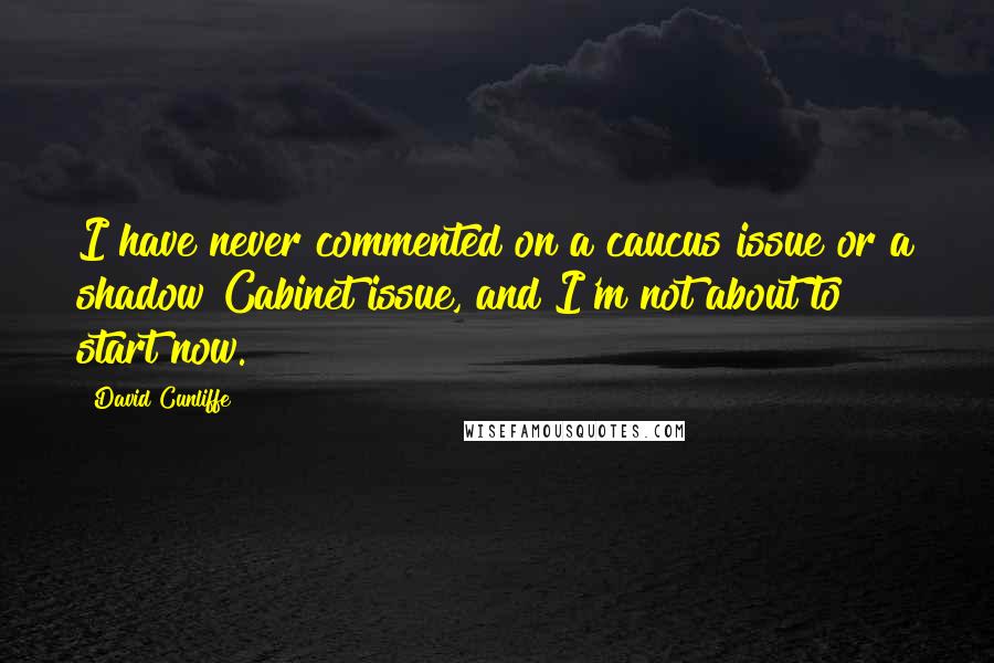 David Cunliffe Quotes: I have never commented on a caucus issue or a shadow Cabinet issue, and I'm not about to start now.