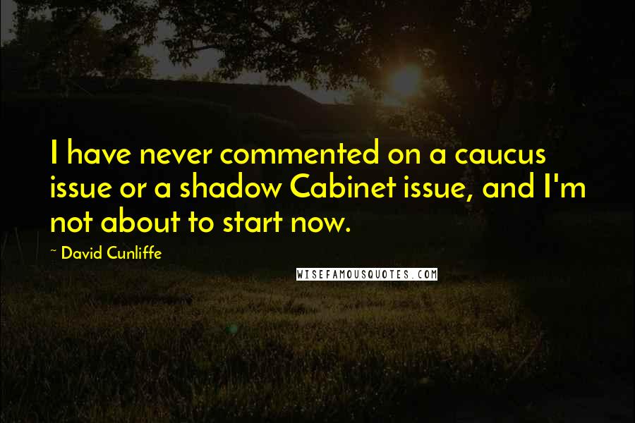 David Cunliffe Quotes: I have never commented on a caucus issue or a shadow Cabinet issue, and I'm not about to start now.