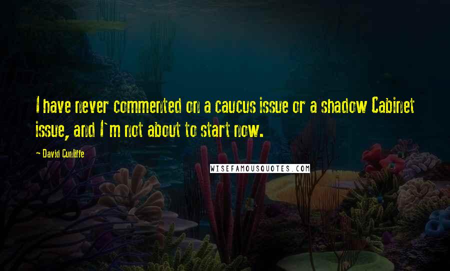 David Cunliffe Quotes: I have never commented on a caucus issue or a shadow Cabinet issue, and I'm not about to start now.