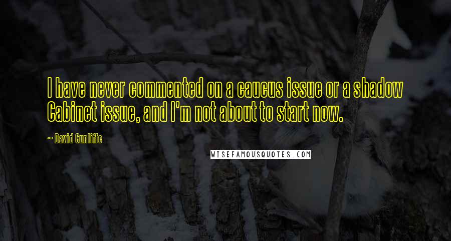 David Cunliffe Quotes: I have never commented on a caucus issue or a shadow Cabinet issue, and I'm not about to start now.