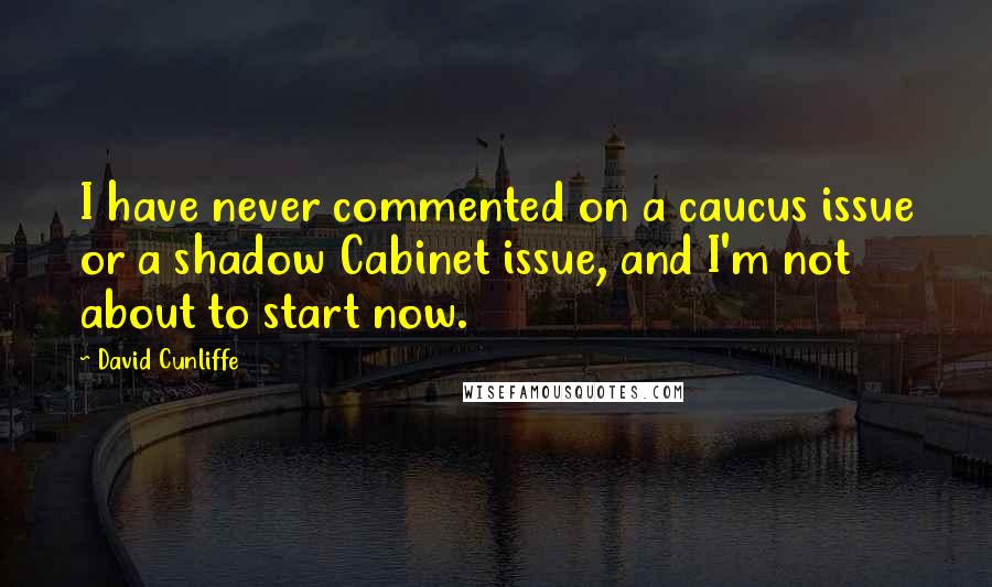 David Cunliffe Quotes: I have never commented on a caucus issue or a shadow Cabinet issue, and I'm not about to start now.