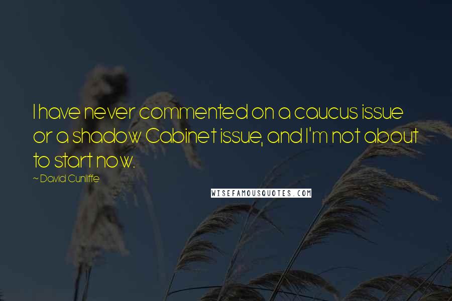 David Cunliffe Quotes: I have never commented on a caucus issue or a shadow Cabinet issue, and I'm not about to start now.