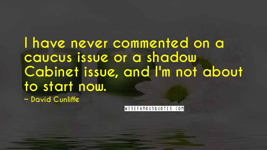 David Cunliffe Quotes: I have never commented on a caucus issue or a shadow Cabinet issue, and I'm not about to start now.