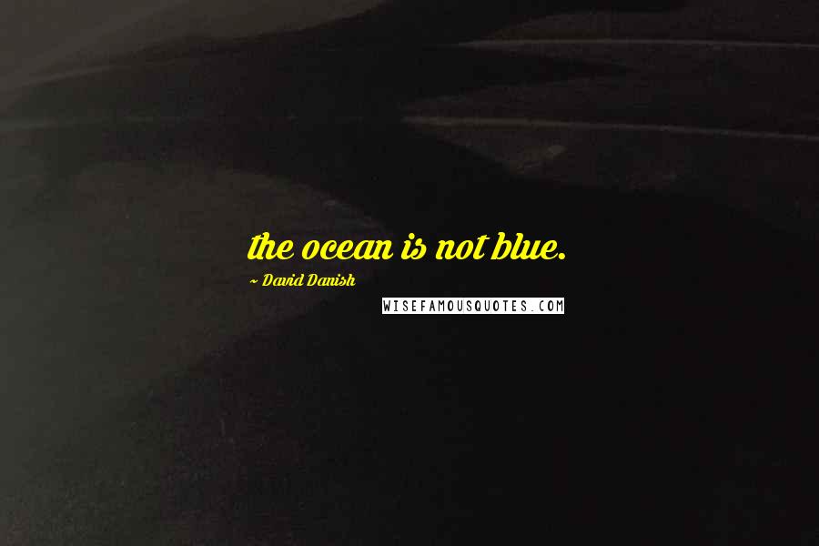 David Danish Quotes: the ocean is not blue.