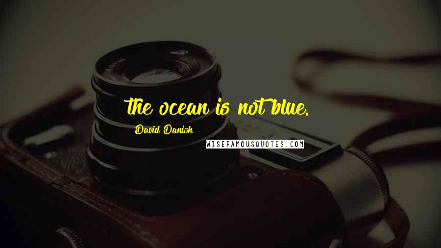 David Danish Quotes: the ocean is not blue.