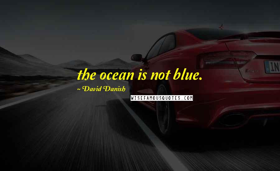 David Danish Quotes: the ocean is not blue.