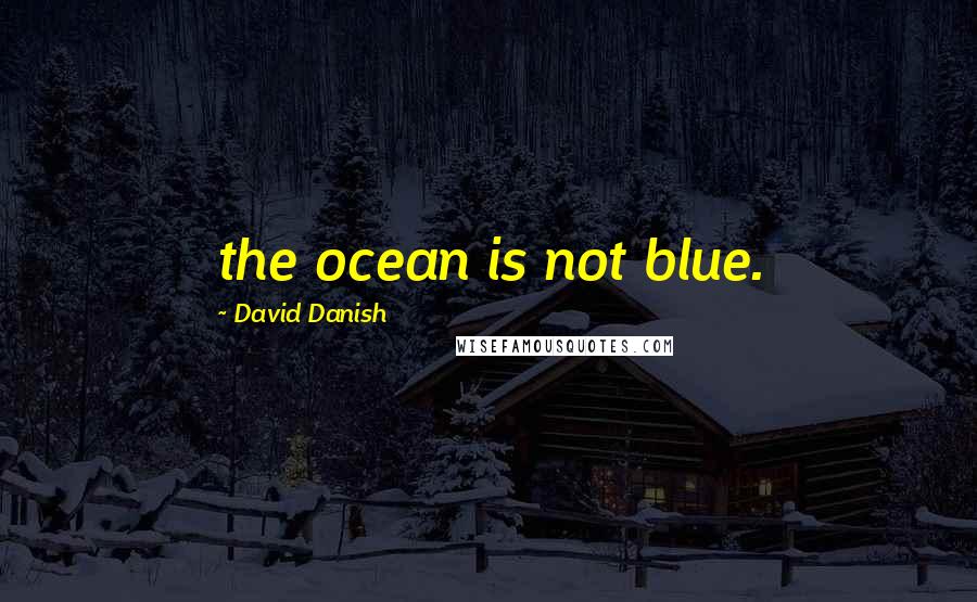 David Danish Quotes: the ocean is not blue.