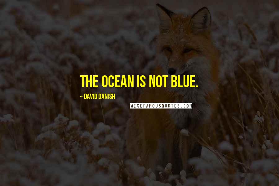 David Danish Quotes: the ocean is not blue.