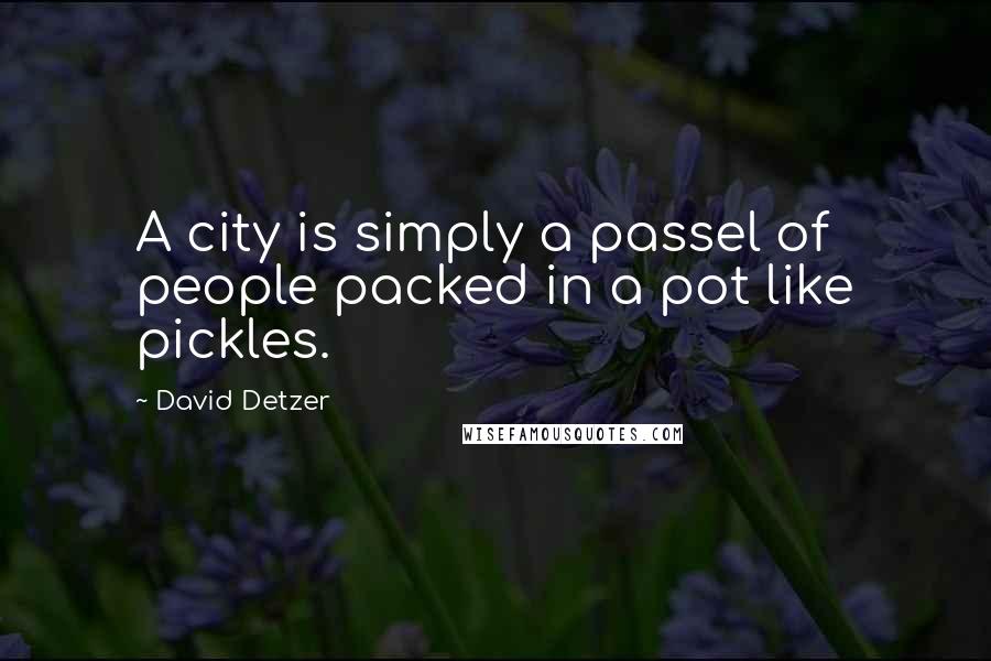 David Detzer Quotes: A city is simply a passel of people packed in a pot like pickles.