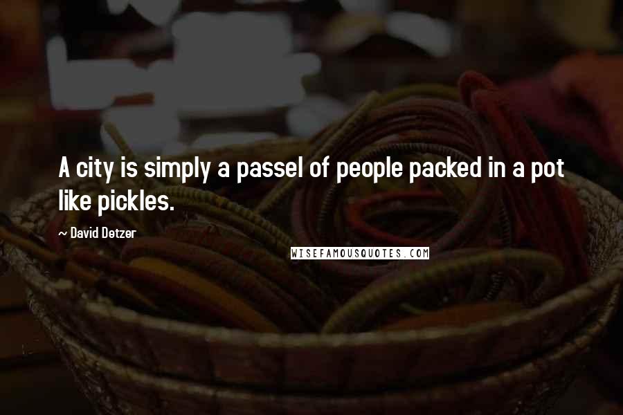David Detzer Quotes: A city is simply a passel of people packed in a pot like pickles.