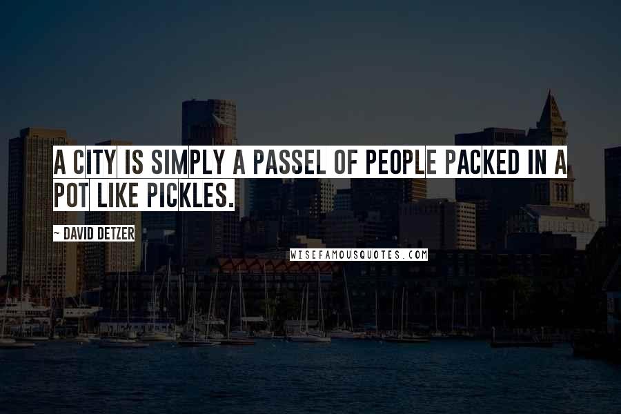 David Detzer Quotes: A city is simply a passel of people packed in a pot like pickles.