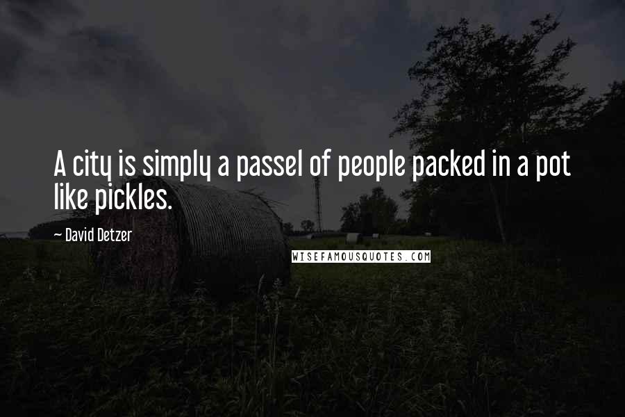 David Detzer Quotes: A city is simply a passel of people packed in a pot like pickles.