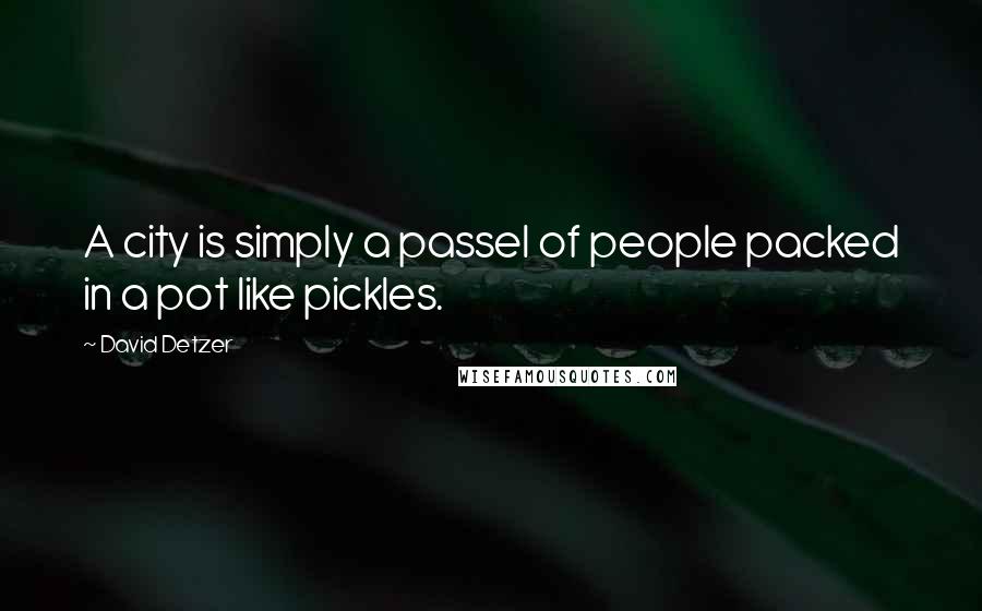 David Detzer Quotes: A city is simply a passel of people packed in a pot like pickles.