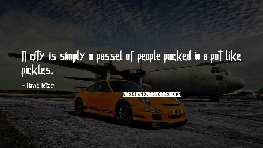 David Detzer Quotes: A city is simply a passel of people packed in a pot like pickles.