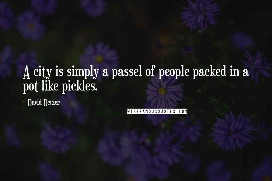David Detzer Quotes: A city is simply a passel of people packed in a pot like pickles.