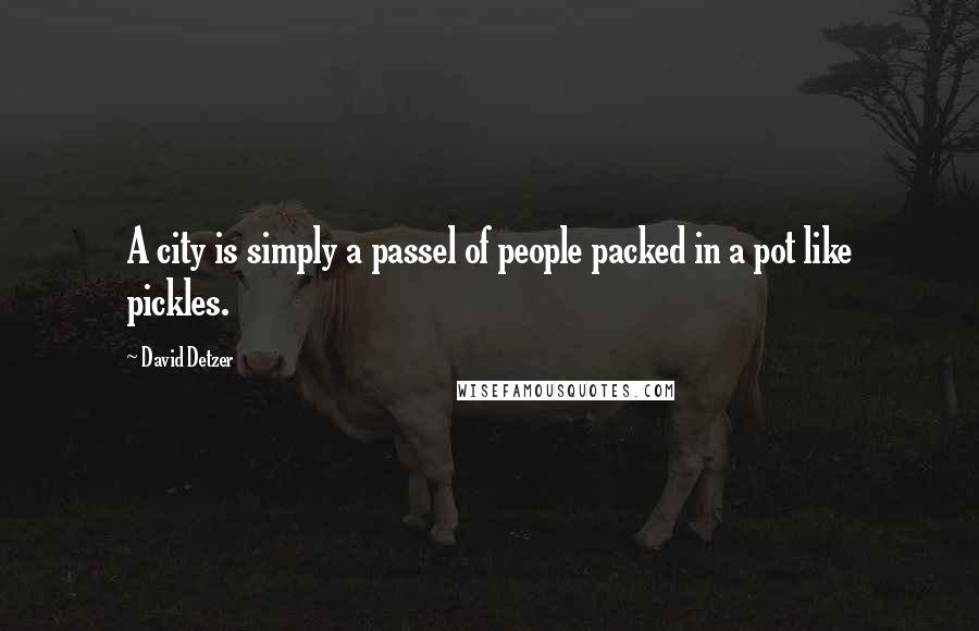 David Detzer Quotes: A city is simply a passel of people packed in a pot like pickles.