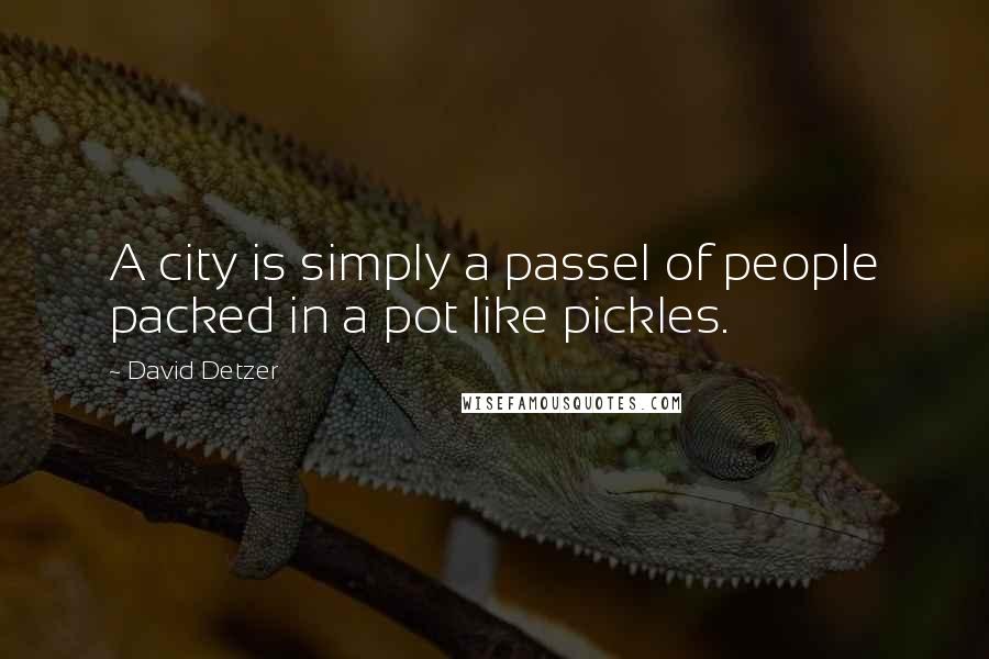 David Detzer Quotes: A city is simply a passel of people packed in a pot like pickles.