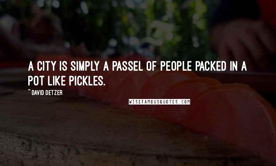 David Detzer Quotes: A city is simply a passel of people packed in a pot like pickles.