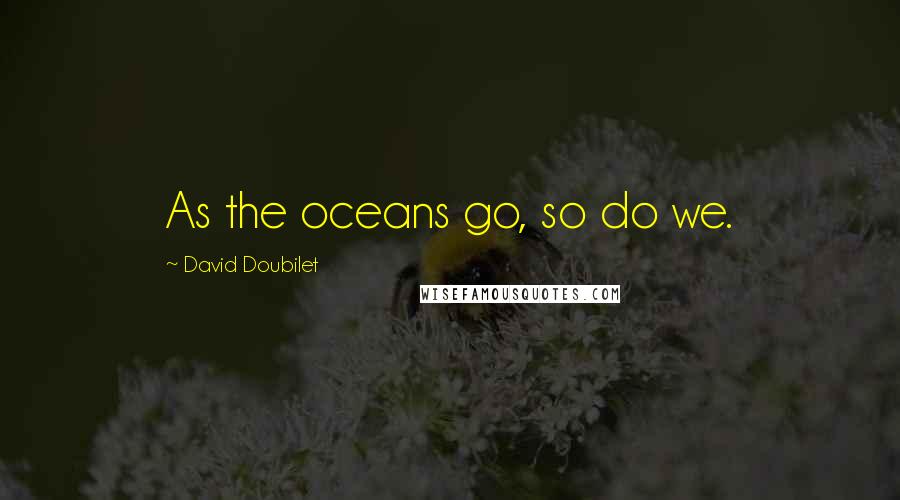 David Doubilet Quotes: As the oceans go, so do we.