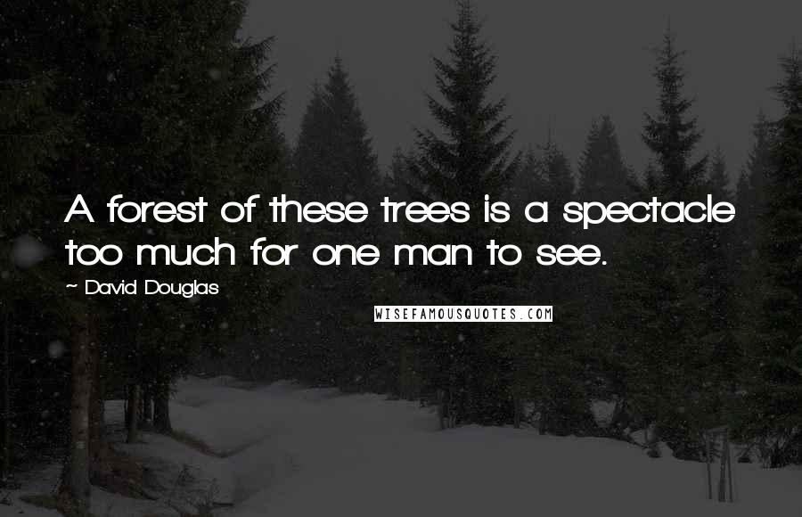 David Douglas Quotes: A forest of these trees is a spectacle too much for one man to see.