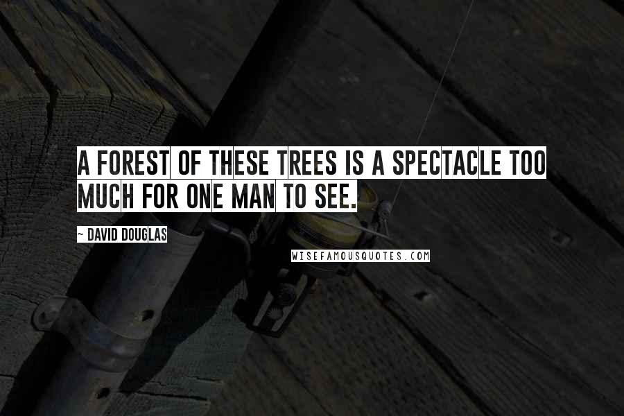 David Douglas Quotes: A forest of these trees is a spectacle too much for one man to see.