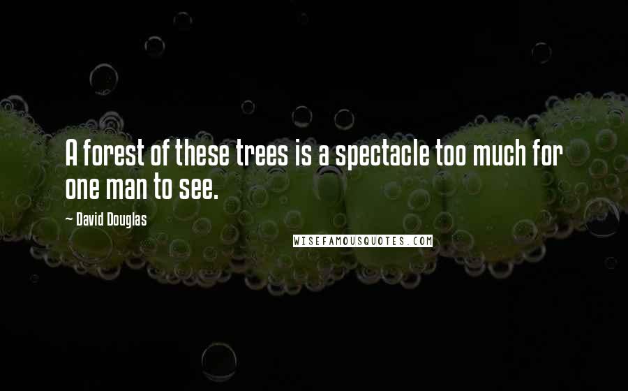 David Douglas Quotes: A forest of these trees is a spectacle too much for one man to see.