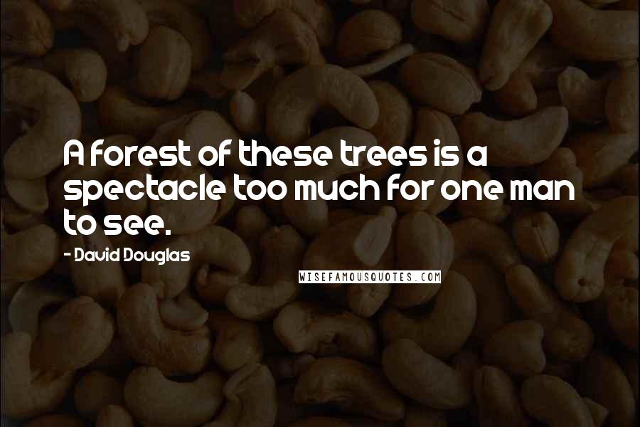 David Douglas Quotes: A forest of these trees is a spectacle too much for one man to see.