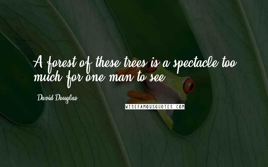 David Douglas Quotes: A forest of these trees is a spectacle too much for one man to see.