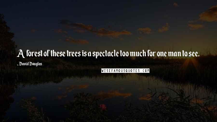 David Douglas Quotes: A forest of these trees is a spectacle too much for one man to see.