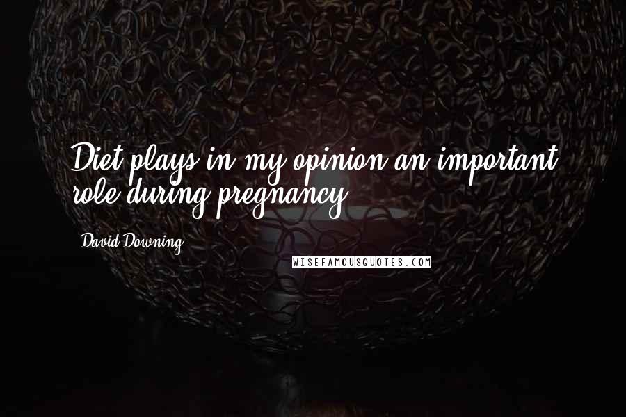 David Downing Quotes: Diet plays in my opinion an important role during pregnancy