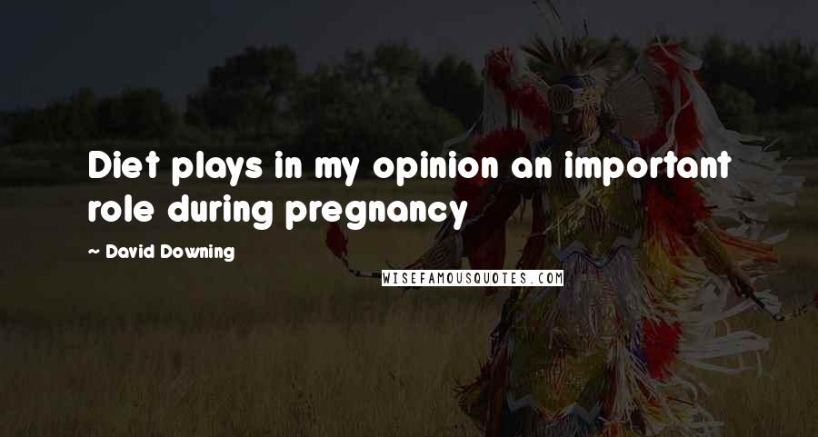 David Downing Quotes: Diet plays in my opinion an important role during pregnancy