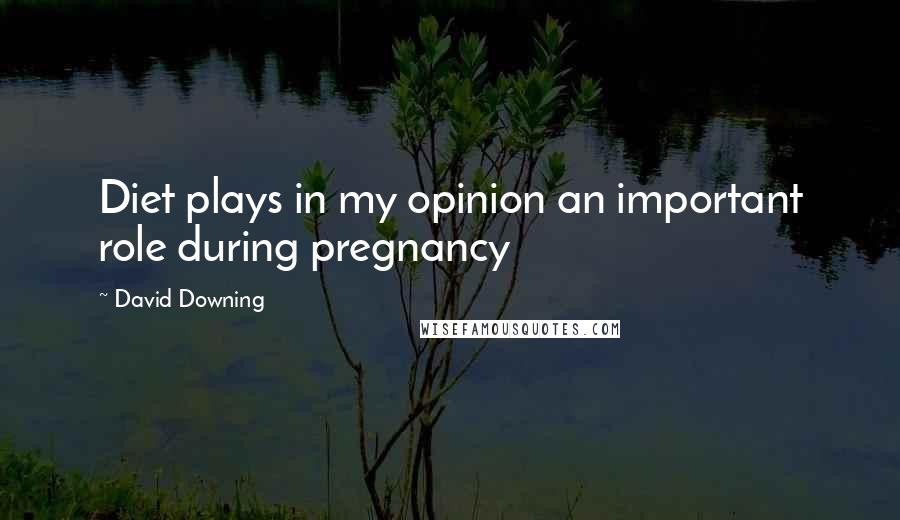 David Downing Quotes: Diet plays in my opinion an important role during pregnancy