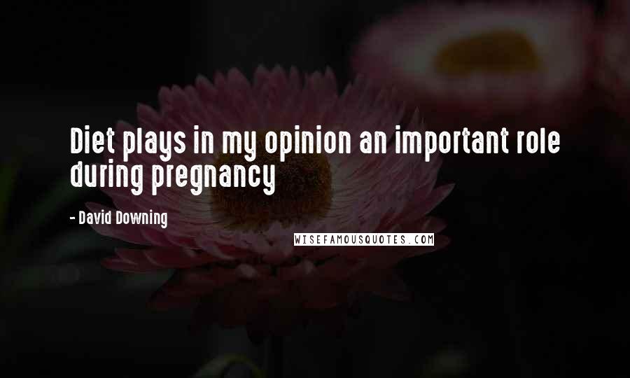 David Downing Quotes: Diet plays in my opinion an important role during pregnancy