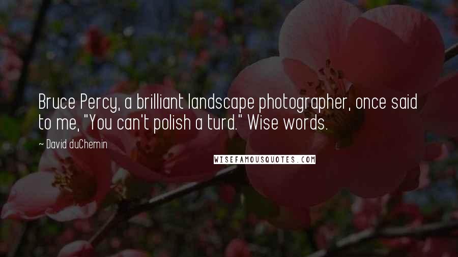 David DuChemin Quotes: Bruce Percy, a brilliant landscape photographer, once said to me, "You can't polish a turd." Wise words.