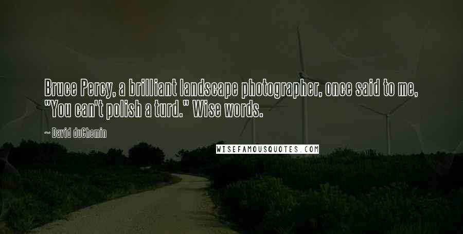 David DuChemin Quotes: Bruce Percy, a brilliant landscape photographer, once said to me, "You can't polish a turd." Wise words.