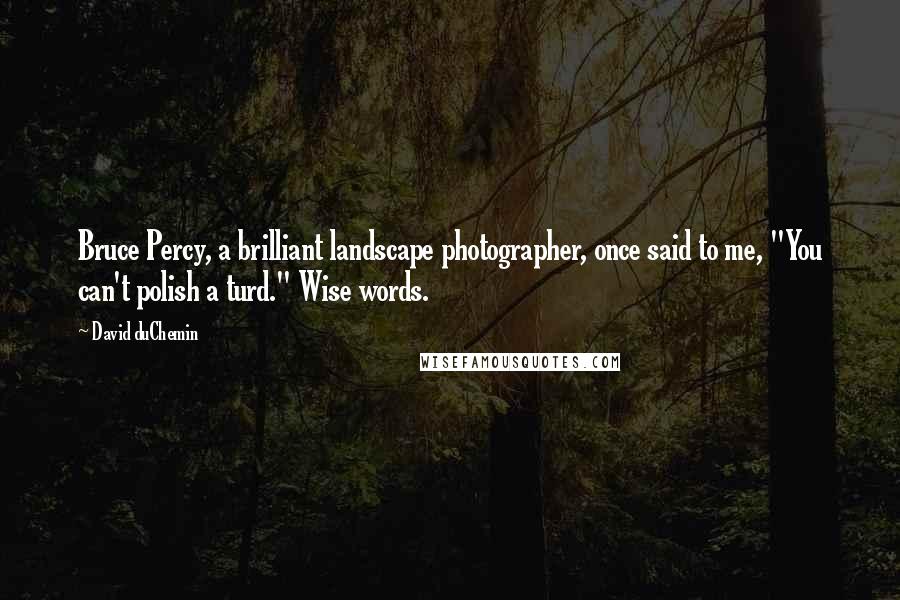 David DuChemin Quotes: Bruce Percy, a brilliant landscape photographer, once said to me, "You can't polish a turd." Wise words.