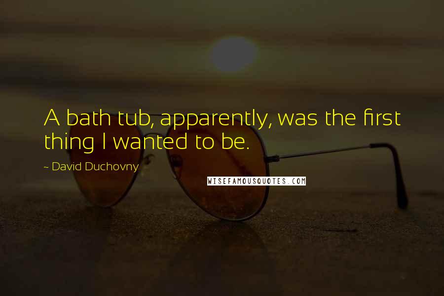 David Duchovny Quotes: A bath tub, apparently, was the first thing I wanted to be.