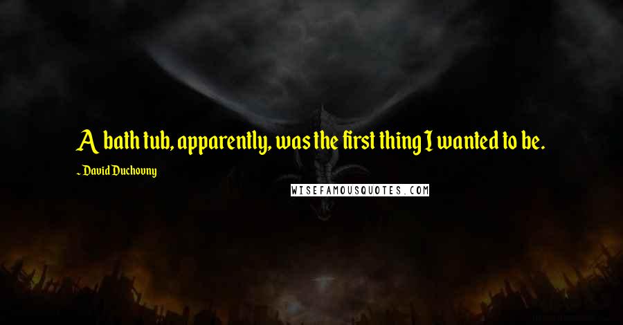 David Duchovny Quotes: A bath tub, apparently, was the first thing I wanted to be.