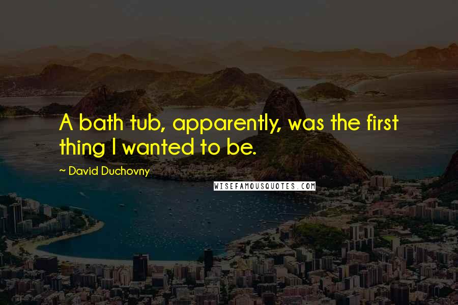 David Duchovny Quotes: A bath tub, apparently, was the first thing I wanted to be.
