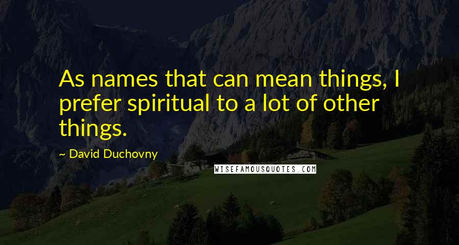 David Duchovny Quotes: As names that can mean things, I prefer spiritual to a lot of other things.