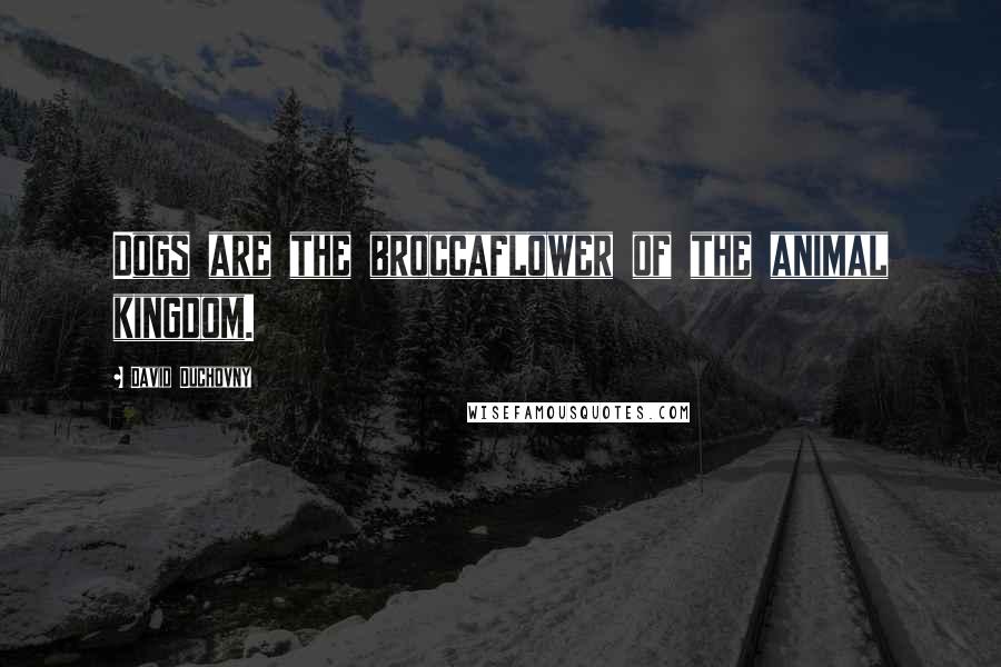 David Duchovny Quotes: Dogs are the broccaflower of the animal kingdom.