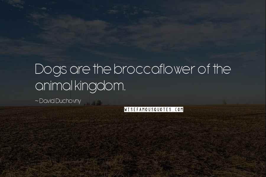 David Duchovny Quotes: Dogs are the broccaflower of the animal kingdom.